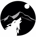 霸光企业店