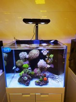 Coral lamp K7 full light seawater lamp stand full set of app sunrise and sunset controller constant current drive replacement