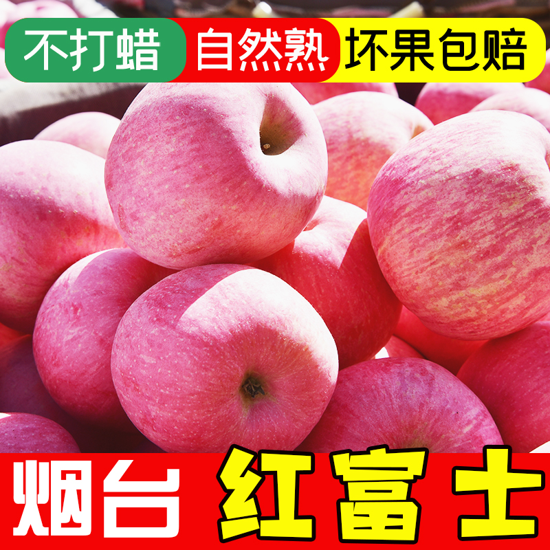 山东烟台红富士苹果5斤 图2