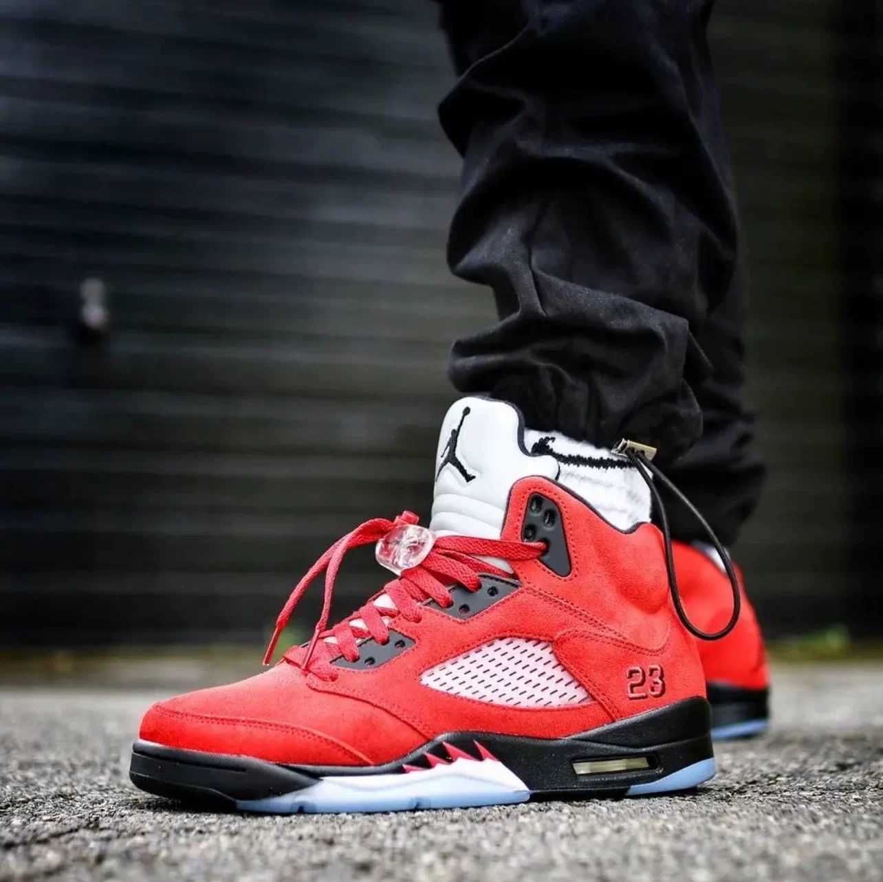 Кроссовки для баскетбола AIR JORDAN 5 AJ5 Angry Bulls Red Suick Suite Black Blue Purple Block DD0587-600