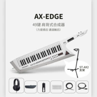Белый (49 клавиша с плечевым ремнем)+лист ST-AX2+аксессуары.