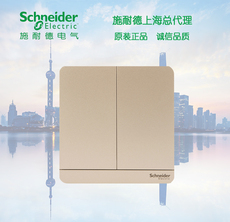 Выключатель двухклавишный 施耐德开关插座 绎尚双开双控 16a开关两联双控 绎尚金二开双控