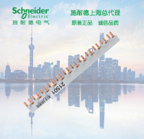 Schneider Bus 1P N Bus DPN dual input dual output 24-bit loop connection copper row 21503