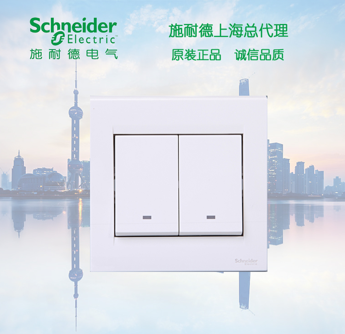 (Original) Schneider switch socket Suitable series Dual switch mono control such as white two - switch open control
