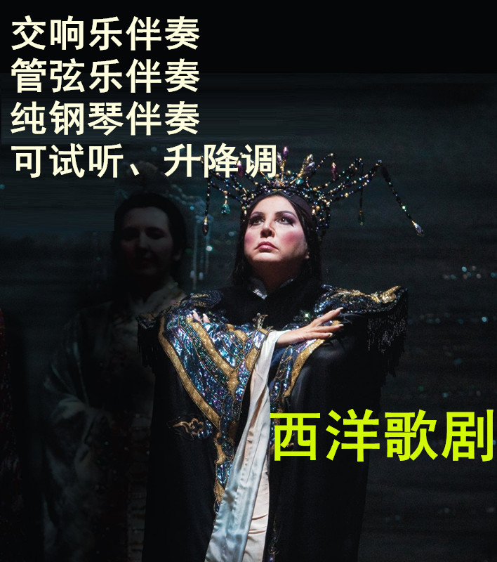 A great soul noble heart symphonic accompaniment to the accompaniment of the Mulan.