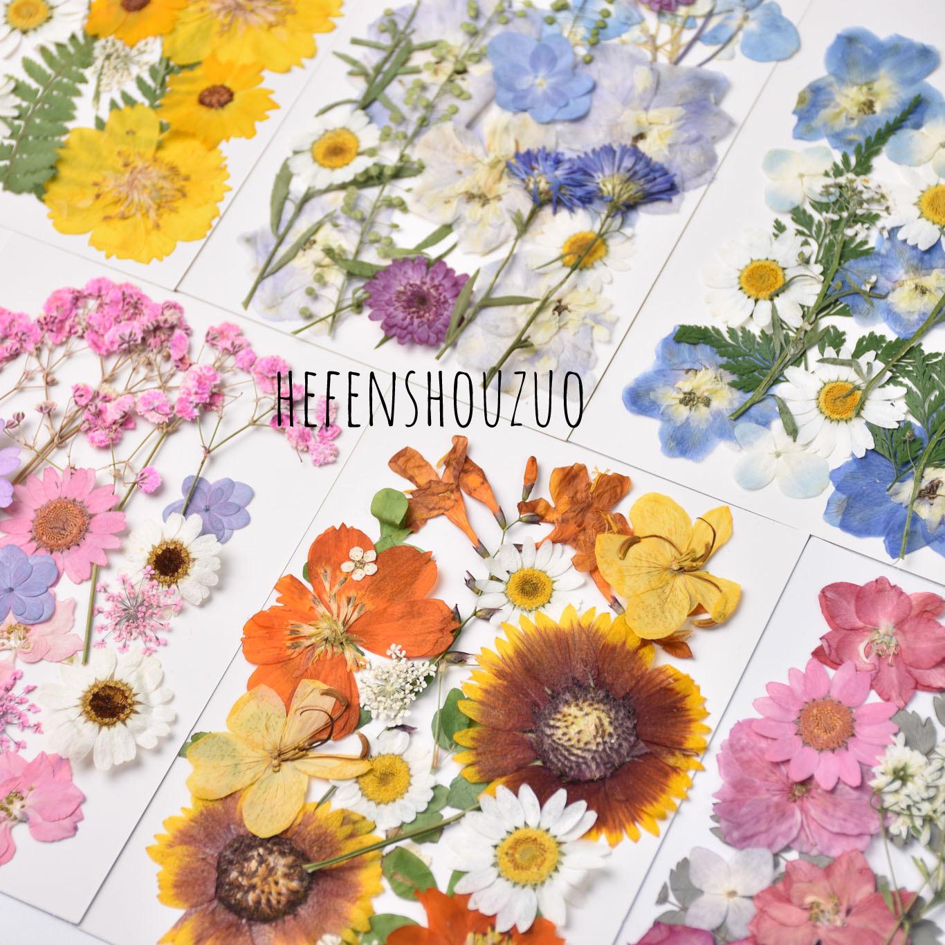 ドライフラワーDIY素材エンボスブックマーク接着剤リビングルーム装飾フォトフレーム素材DIY手作りホリデークリエイティブギフト