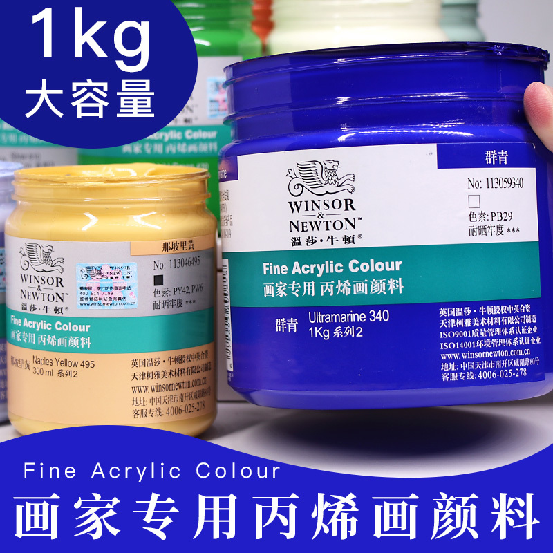 Winsor & Newton Acrylic Paint 300ml Artist-Specific Single Bottle Black Gold White Gray Silver Blue Pink Yellow DIY Glossy Wall Painting Graffiti Outdoor Indoor Art Creation