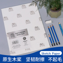 British Windsor Newton painter special sketch paper fine art student 2k4k8k160g native high-quality wood pulp made of double-sided texture easy on lead resistant fiber stable sketching paper lead drawing paper