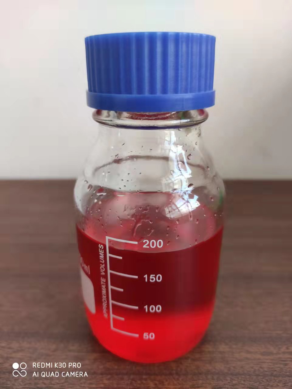 2025年 再調理された魚、静寂、高齢者介護、滑りやすい、負傷した魚、ルアー添加剤、ブラックピット競技、積極的な釣り、ロバの盗難、釣り薬