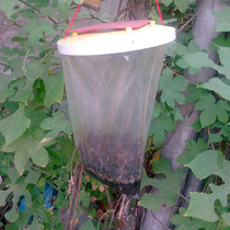 Fly Bag traps off flies bag off flies