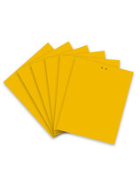 50 pieces of sticky insect board yellow board double-sided sticky insect board greenhouse thrips household yellow trap orchard courtyard sticky fly stickers