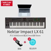 LX61+педаль+подлинное программное обеспечение Bitwig