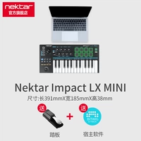 LX mini+подлинная педали Bitwig+