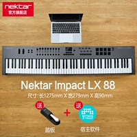 LX88+педаль+подлинное программное обеспечение Bitwig