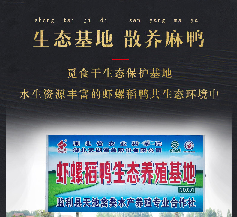 生态麻鸭基地食材，48h鲜蛋：60gx20枚 天湖 正宗红心流油咸鸭蛋 27.9元包邮 值值值-买手聚集的地方