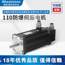 600W explosion-proof servo motor 110 series 72V explosion-proof AC servo motor