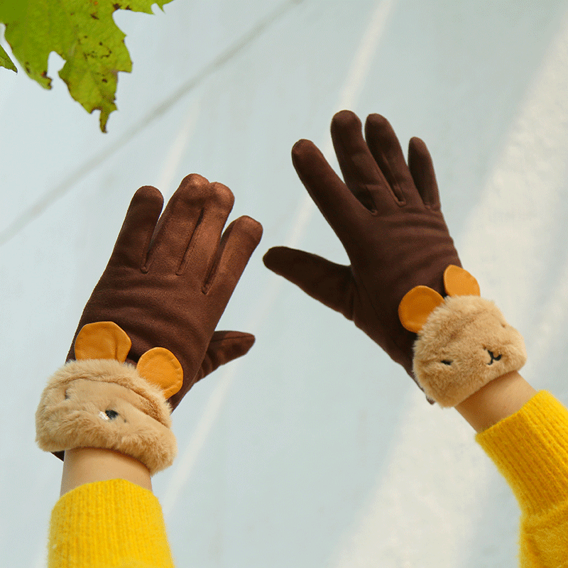 Lady Gloves Winter Warm Touch Screen Plus Suede Five Finger Gloves Bike Autumn Chill Lady Suede Snow Gloves-Taobao