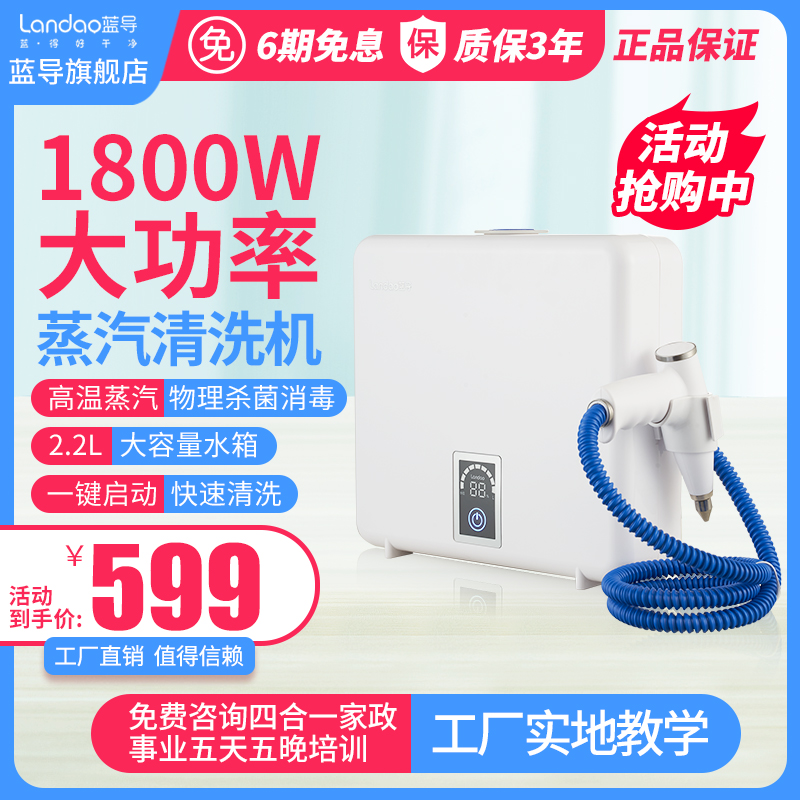 Blue Guide Steam Cleaner Home Multi-function Kitchen Oil Removal Dishwasher High Temperature High Pressure Disinfection Cleaner