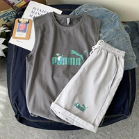 BX2104 Темно -серый+DK213 светло -серый