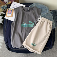 BX2104 темно -серый+DK213 Абрикосовый цвет