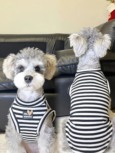 Домашние кошки и собачья одежда в летнем чистое хлопковое черно -белое полосатое жилетки.