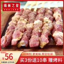 Xilin star cumin mutton kebabs Inner Mongolia fresh mutton barbecue ingredients semi-finished frozen skewers 20 skewers