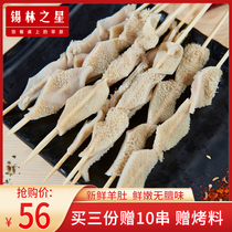 Xilin Star Gold belly string Inner Mongolia fresh bacteria sheep belly barbecue ingredients semi-finished food tripe 20 skewers