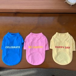 ins New Four Seasons Birthday Party Sweatshirt Cute Teddy Bichon T-Shirt German Velvet Dog Cat Pet Clothes