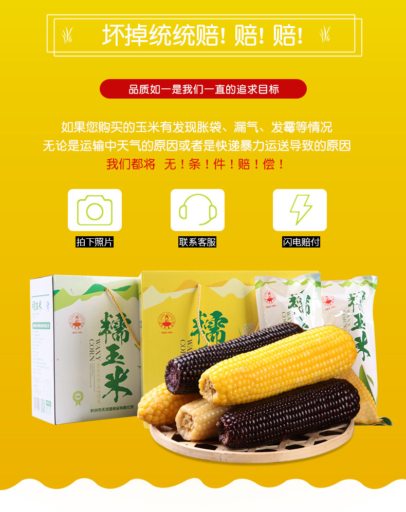 4 Huang 4 White 4 Black_Corn Defitals_2_11.jpg