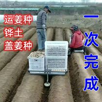 Ginger Farmware 2023 new multi - functional triple ginger artifacts transport ginger cover agricultural tools