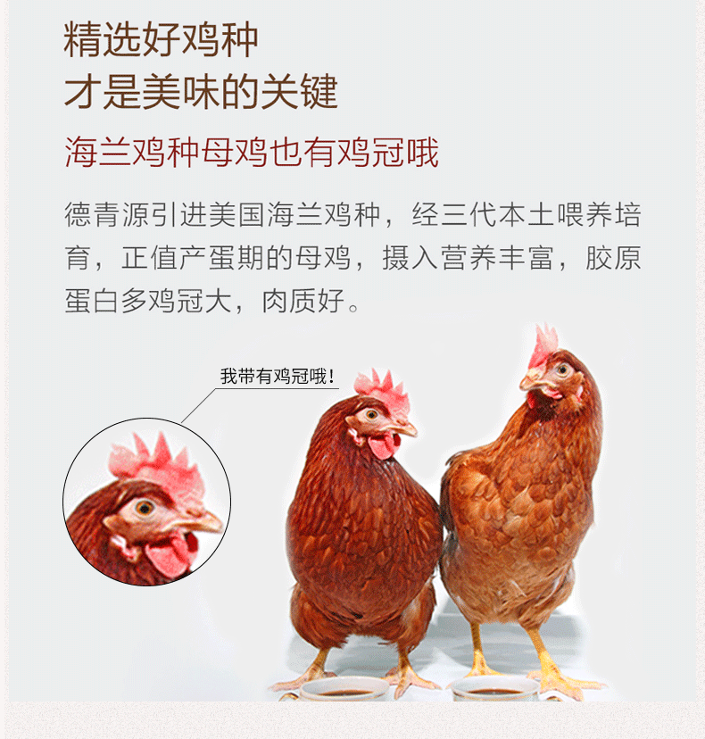 德青源 400天黄金鸡龄 谷饲老母鸡 2斤*2只 图3