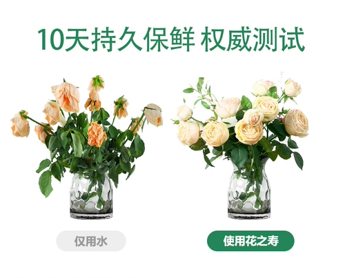 American Flower Life Flighing Freshing Fresh Reservation Fresh Reservation Solid Nutrition Solid Supsidies для свежего кусочка свежего цветочного магазина