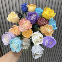 Flowers special spray-painting floral rose silver Pearlized Crushed Ice Blue Spray Paint Self-Spray Paint Spray Stain Flowers Lacquer