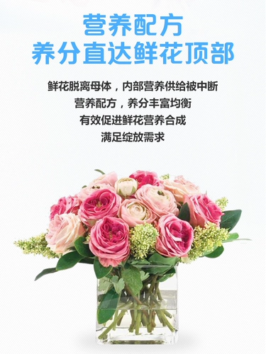 Сосредоточьтесь на Flower Fresh Fresh Furnitur