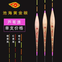 Аутентичный поплавок Chihai Golden Eye, тростниковый карась, поплавок смешанной культуры, смелый привлекательный поплавок 60 см, буй Rogue