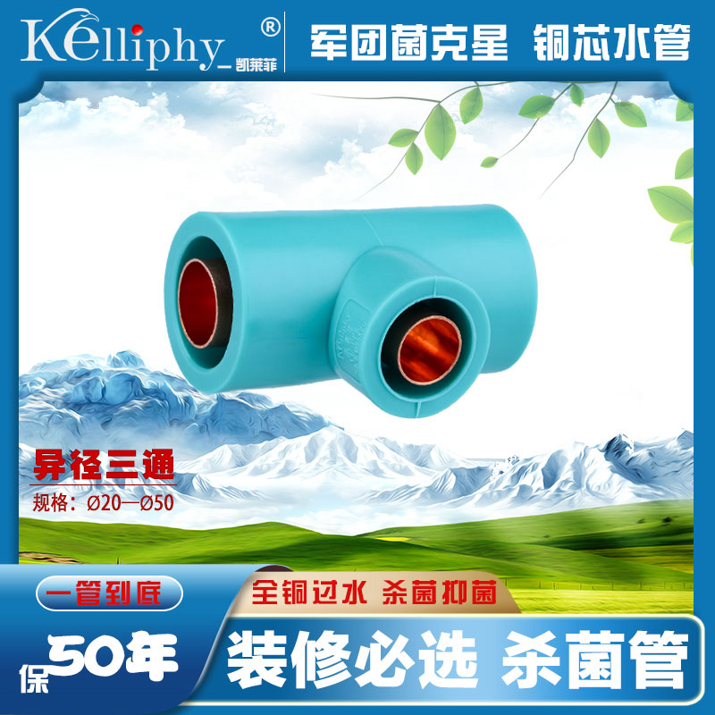 (Variable diameter tee) imported water pipes, high-end water pipes, imported PPR water pipes, sterilization water pipes, decoration water pipes