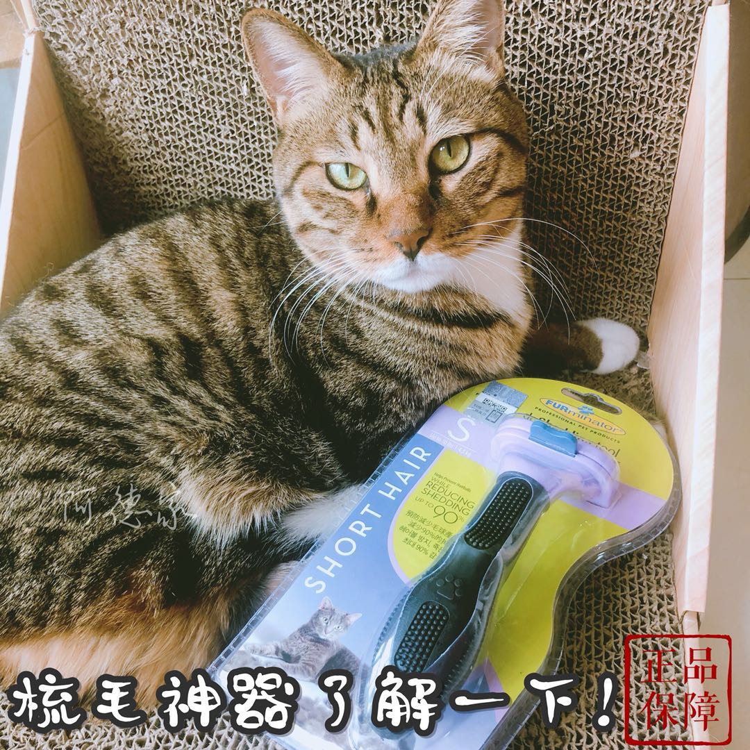 Change Mao season US FURminator Fuminette kitty Hair Drescomb to Mao Divine Instrumental Fumette Cat Comb