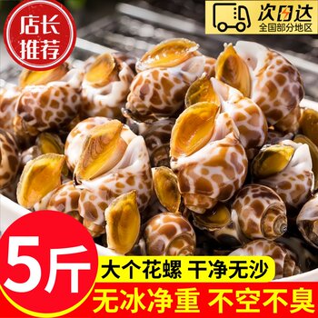 Dahai thirteen fresh frozen extra large snails 60-80 pcs/jin jin equals 0.5kg