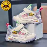 Bai Zi 【23007 одиночная сеть】