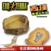 Canada EXO TERRA Xijin REPTILE climbing PET DEEP water basin Food basin Tortoise LIZARD SNAKE DRINKING BASIN Bathing BASIN