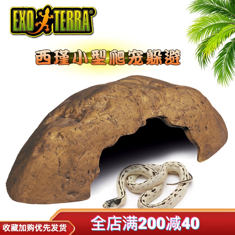 Canada EXO TERRA Hi Jin reptile dodges lizards guarding the palace snakes scorpions spiders climb pet cave landscape