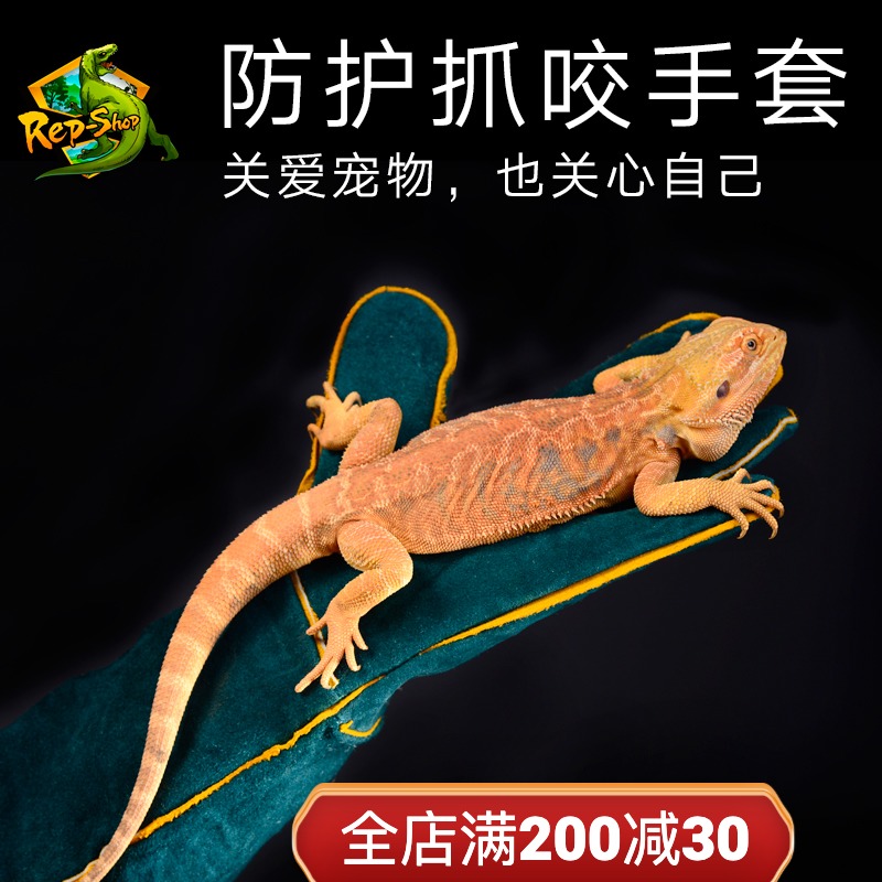 Reptile Reptile Green Hyena Lizard Lizard Snake Cat Dog Protection Gloves Anti-Grip Glove Prevention Grip Bull Leather Gloves