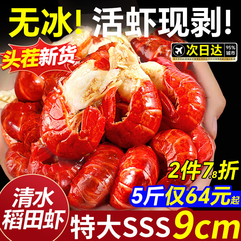 龍蝦尾冷凍鮮活生鮮小龍蝦無冰衣特級大蝦尾蝦球鮮凍批發商用整箱:海鮮愛好者的終極選擇!