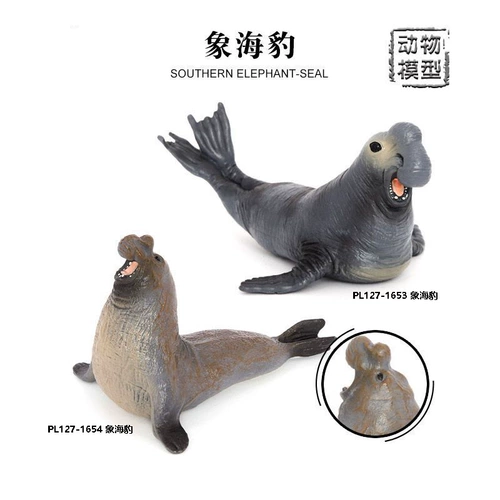 1653/1654 Реалистичная модель морских животных Walrus Seal Seal Seal Seal Дети когнитивные игрушки твердые украшения