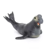 1653/1654 Реалистичная модель морских животных Walrus Seal Seal Seal Seal Дети когнитивные игрушки твердые украшения