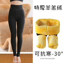 Autumn and winter northeast thick bottomed cotton pants women inside and outside wear one high waist plus cashmere warm pantyhose