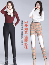 Northeastern ultra-thick cold-proof warm pants for women high-waist outer leggings Harbin Xuexiang travel extra-thick anti-freeze cotton pants