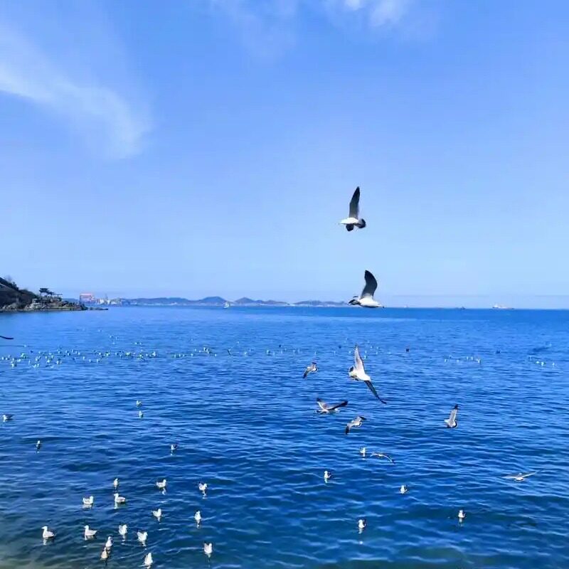 风声在呢喃