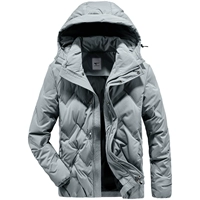 005 (светло -серый))