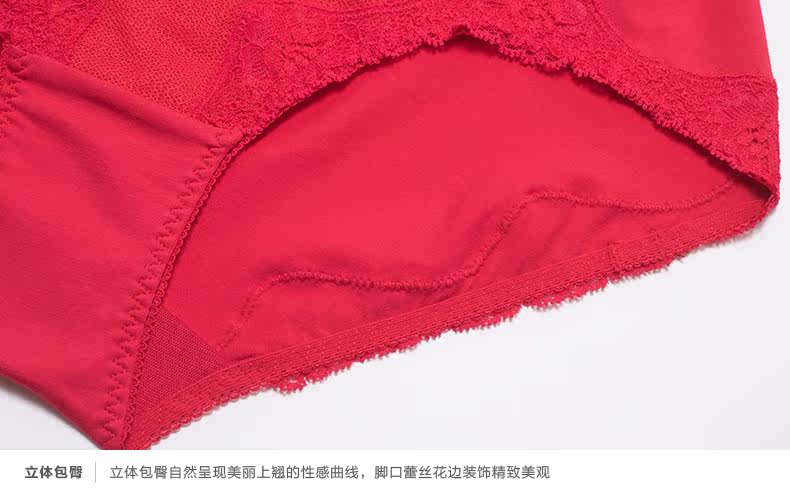 Slip jeunesse en coton - Ref 667666 Image 15